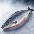 Norwegian frozen Atlantic salmon whole IQF premium quality – Royal Sea Egypt