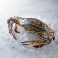 Whole local crab 1 KG fresh grilling steaming tomato sauce – Royal Sea Egypt